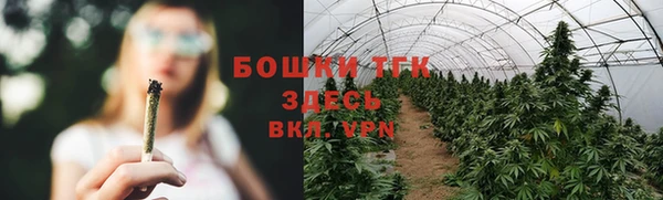 прущие грибы Алзамай